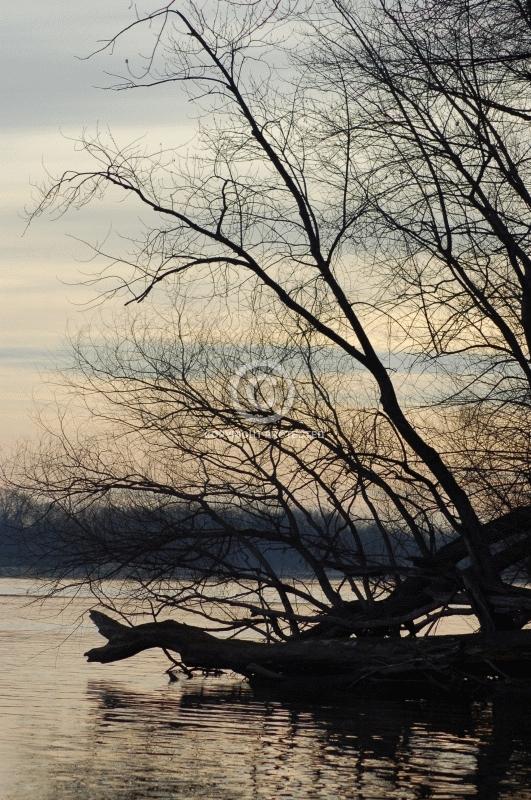 1634: Mississippi River Bank at Sunset
