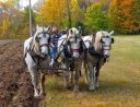 2008 Spoon River Drive - 2nd Place - Professional Color