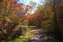 Bureau County Fair - 1st Place - Fall Scene